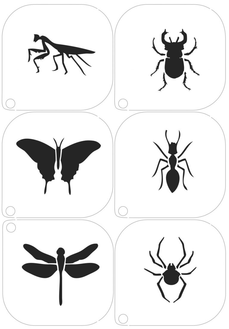 16 ( Insects )